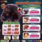 เช็กชี่บาคาร่า66